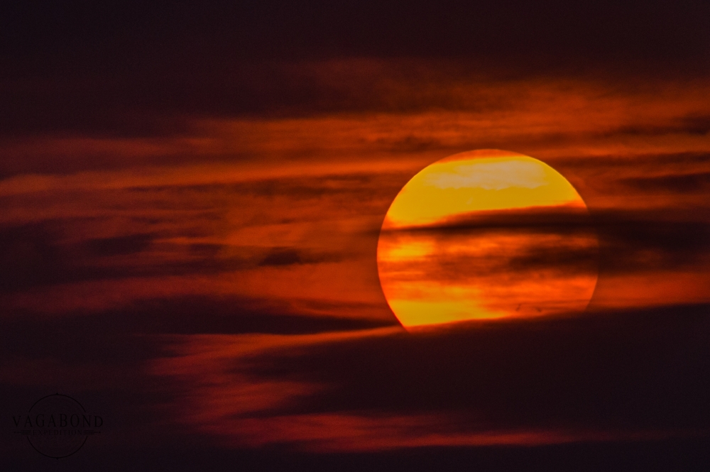 فلكية جدة: الشمس بلا بقع للمرة الأولى منذ 2022