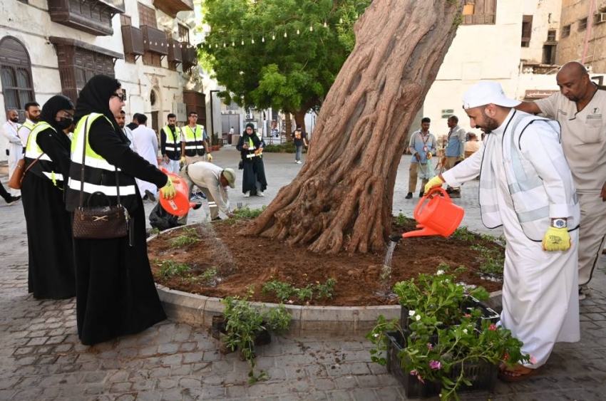 ضمن المرحلة الأولى.. بيئة مكة والثقافة تشجران جدة التاريخية